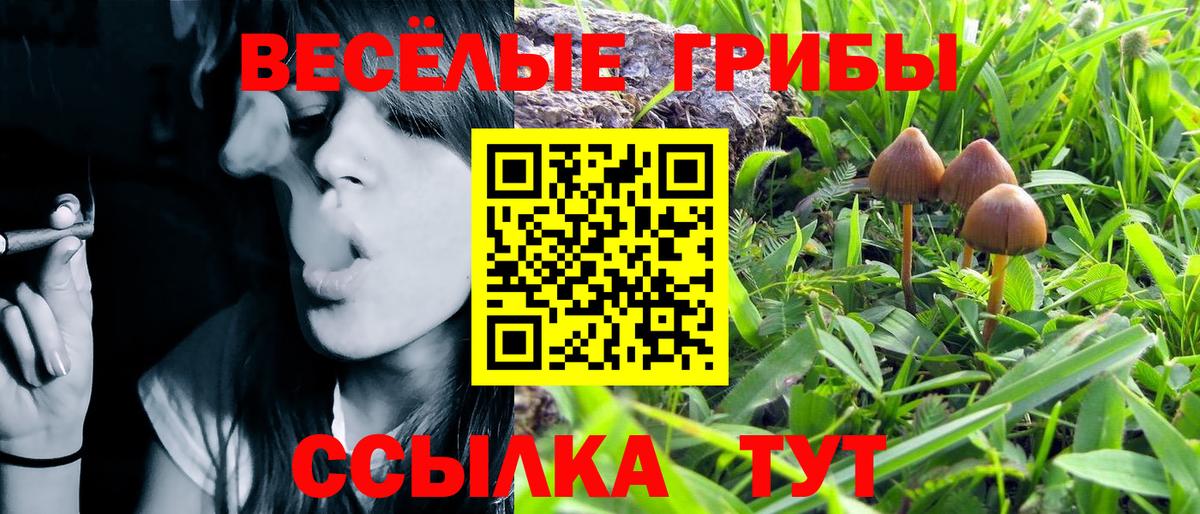 Галлюциногенные грибы MAGIC MUSHROOMS  Вход с VPN  закладки  Псилоцибиновые грибы прущие грибы  Углич 